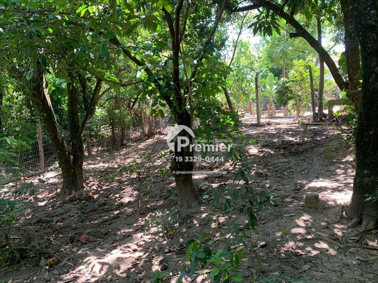 Chácara à venda e aluguel com 4 quartos, 520m² - Foto 7