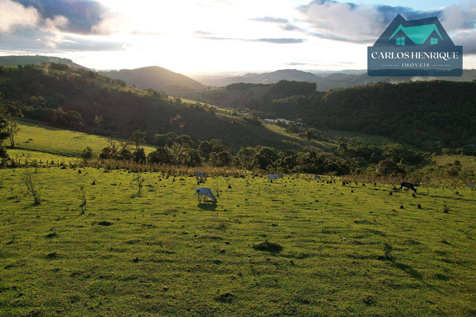 Terreno à venda, 20000M2 - Foto 6