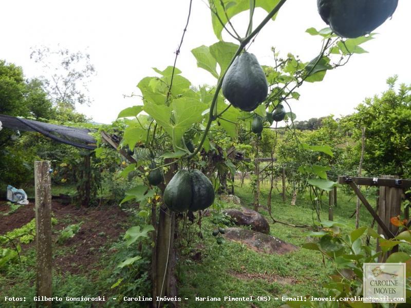 Fazenda à venda com 3 quartos, 60000m² - Foto 27