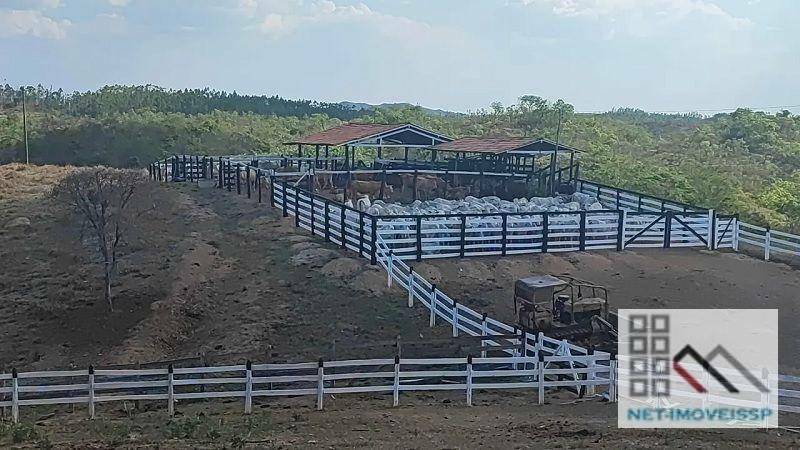 Fazenda à venda, 500m² - Foto 5