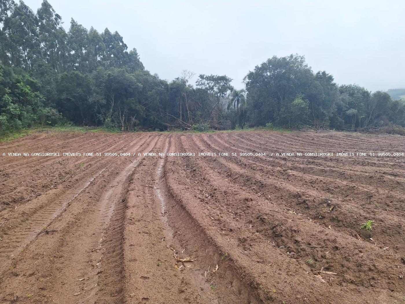 Sítio à venda com 2 quartos, 141000m² - Foto 34