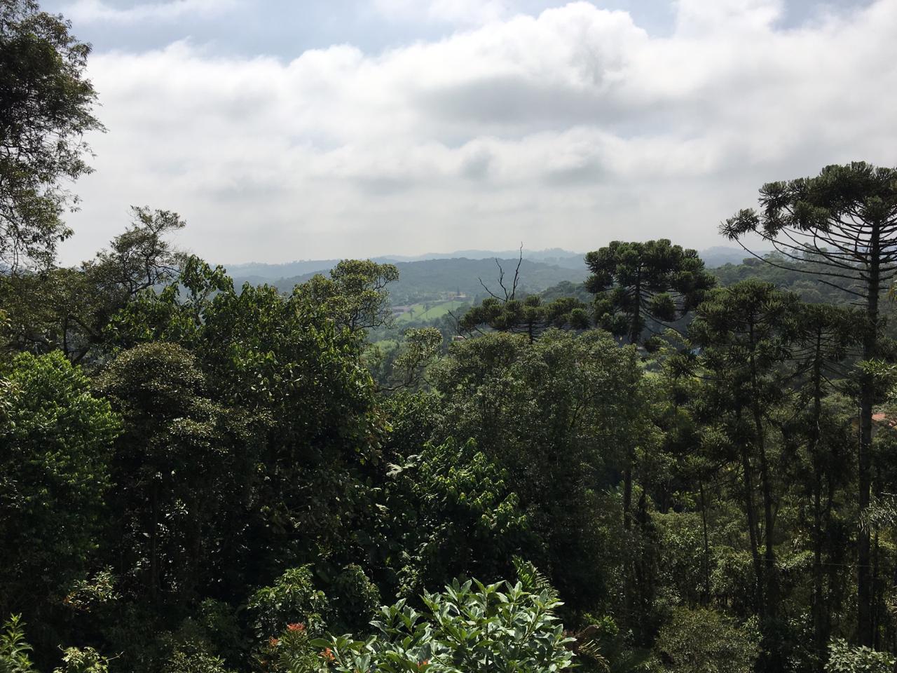 Fazenda à venda com 2 quartos, 1890m² - Foto 8