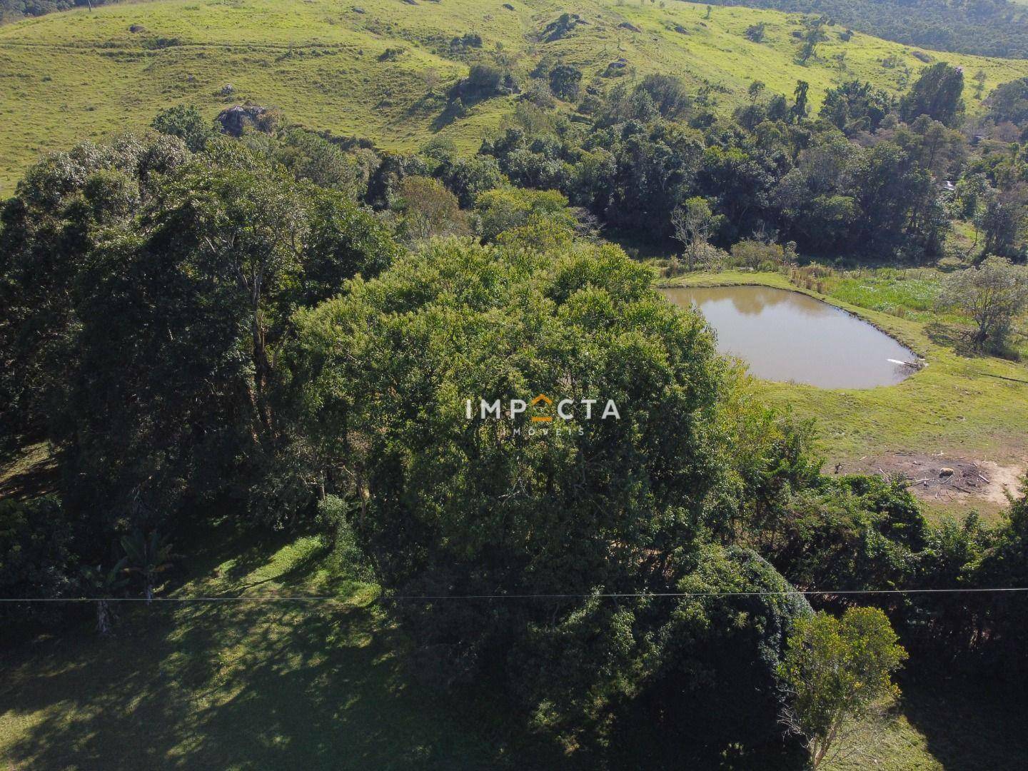 Fazenda à venda com 5 quartos, 450m² - Foto 60