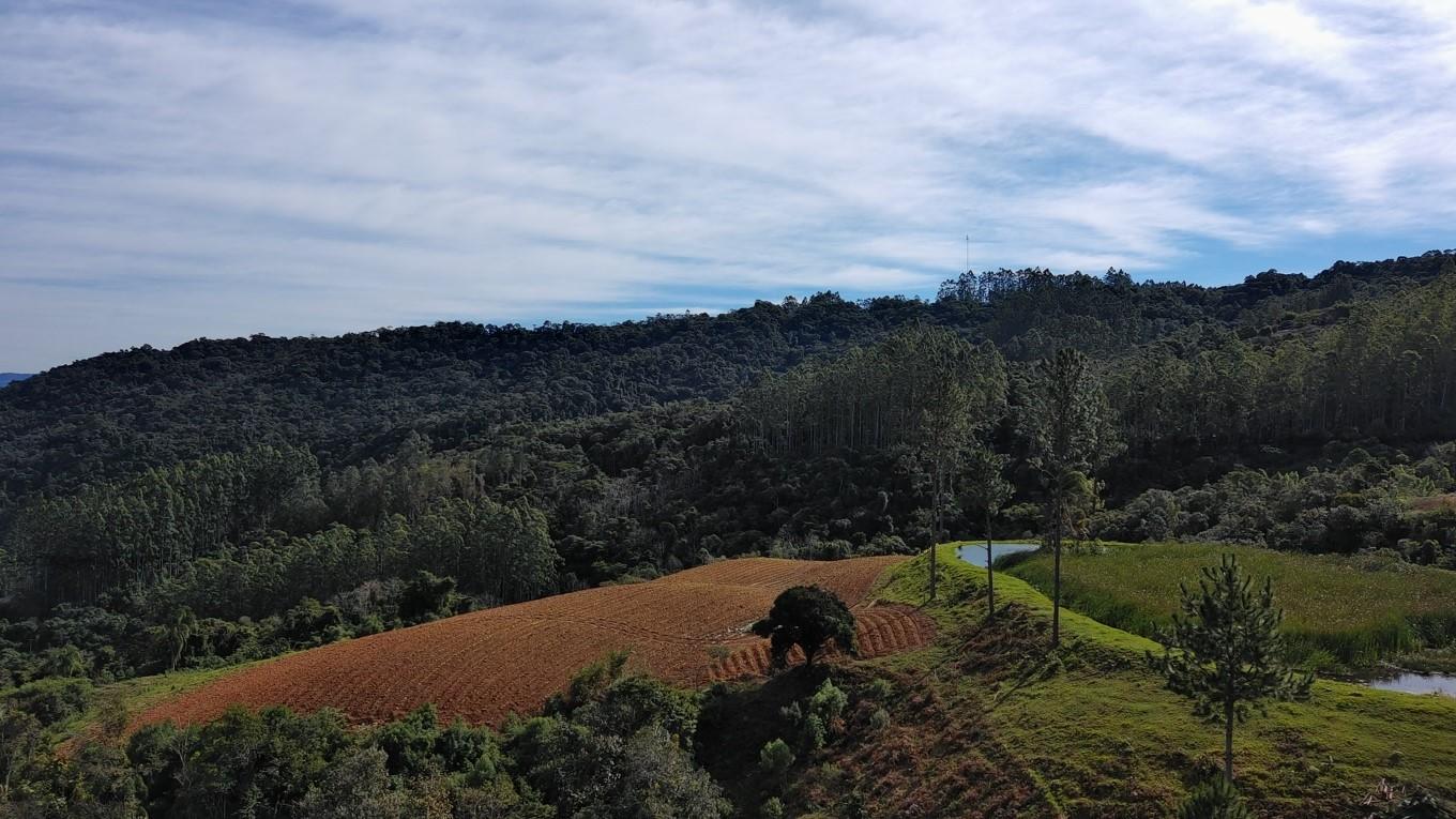 Fazenda à venda com 3 quartos, 260000m² - Foto 28