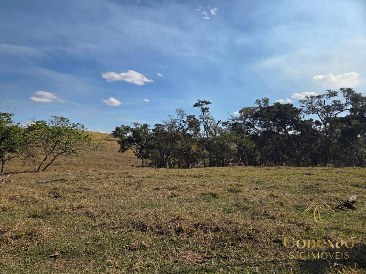 Fazenda, 145 hectares - Foto 2