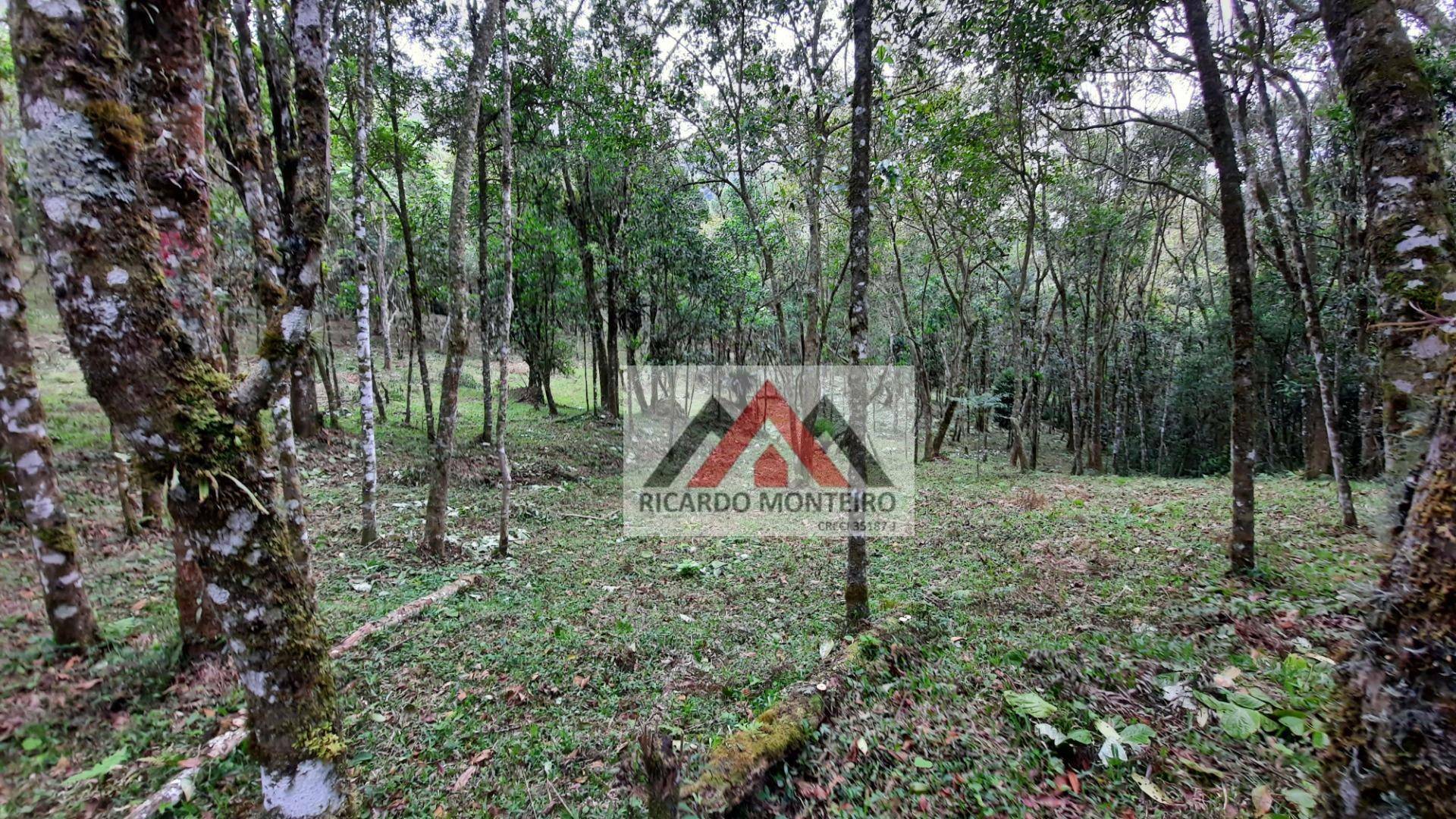 Fazenda à venda, 822800M2 - Foto 24