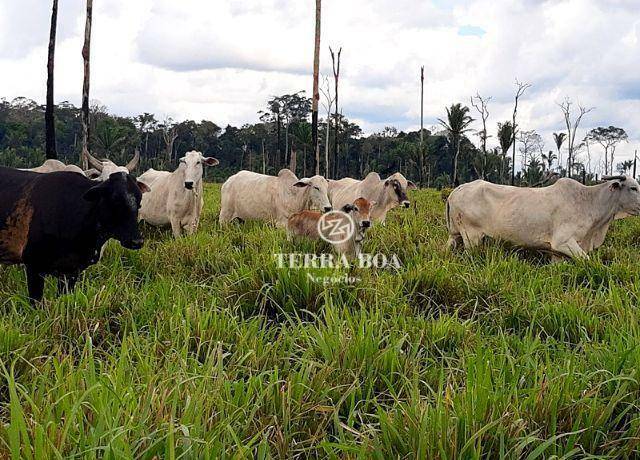 Fazenda à venda, 1694000M2 - Foto 12