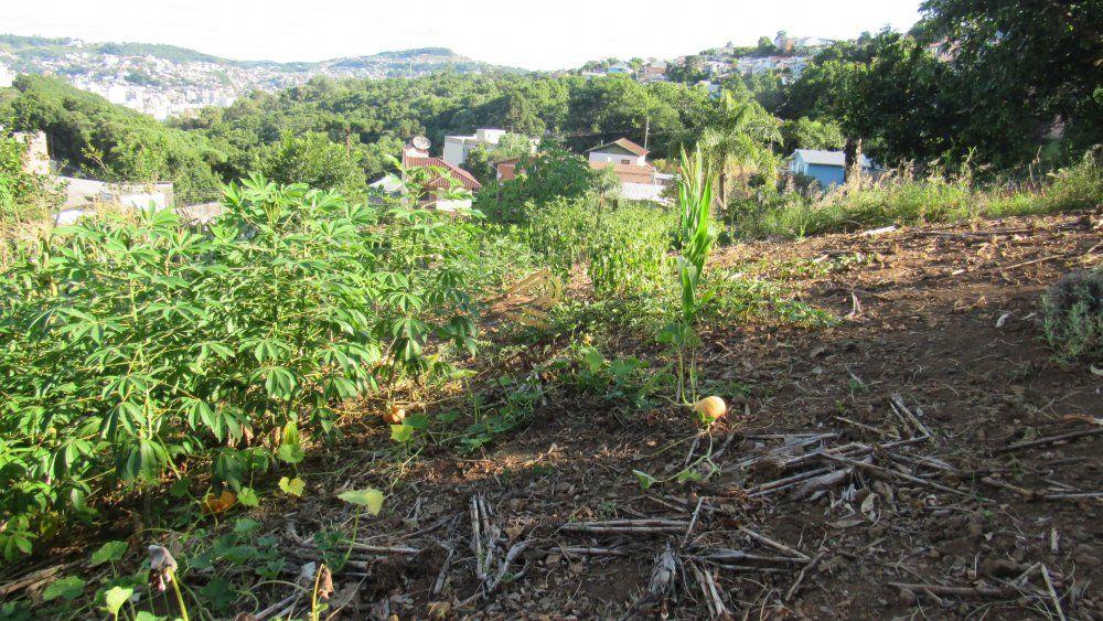 Terreno à venda, 883m² - Foto 16