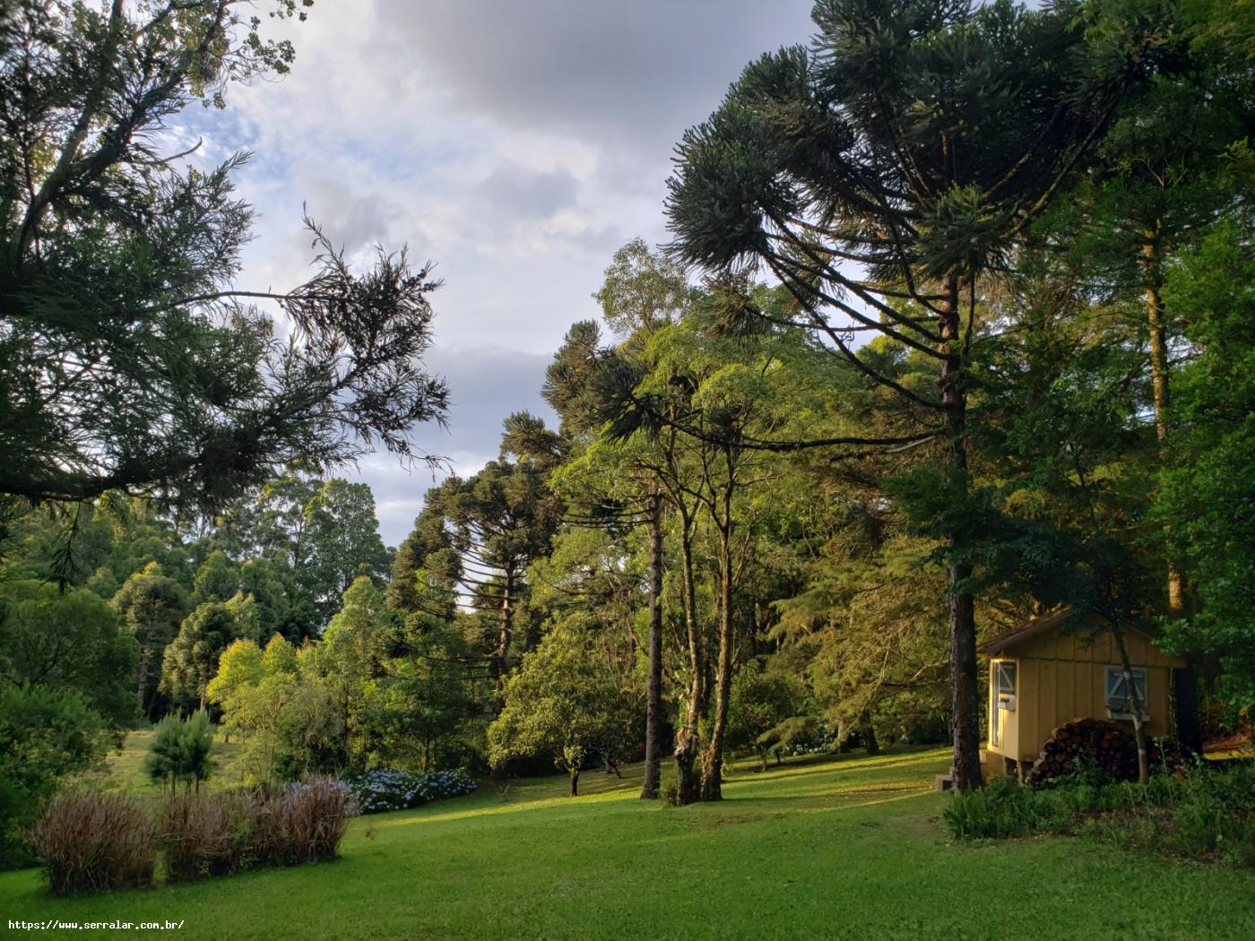 Fazenda à venda com 4 quartos, 15000m² - Foto 40