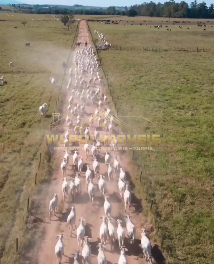 Fazenda à venda, 1086m² - Foto 1