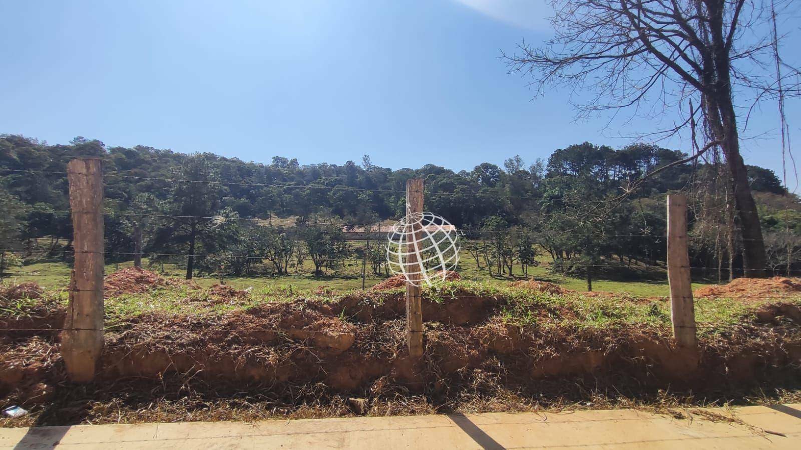 Terreno, 8 hectares - Foto 2