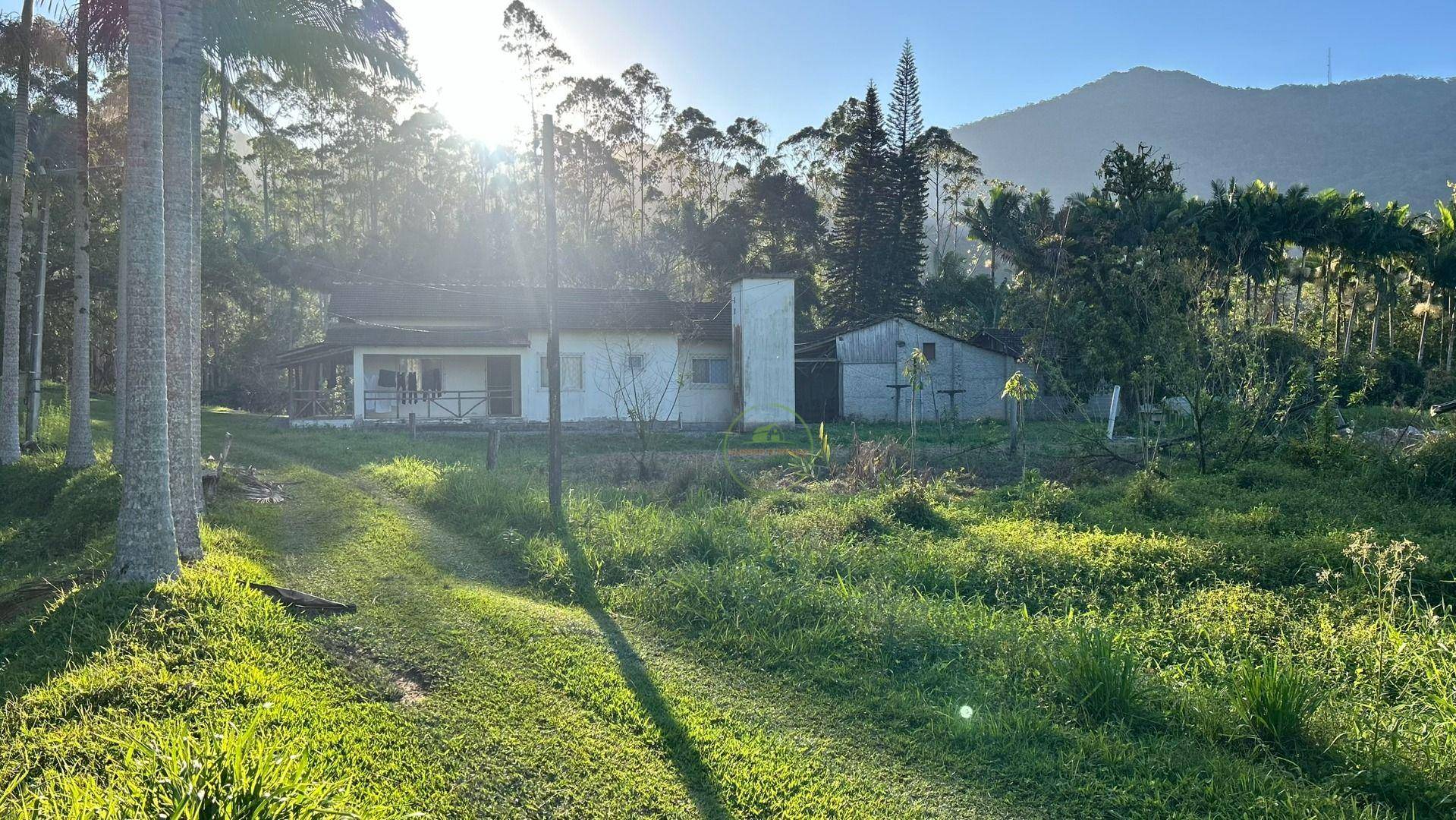 Sítio, 19 hectares - Foto 3