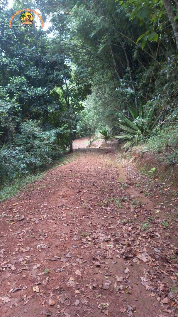 Terreno, 5 hectares - Foto 4