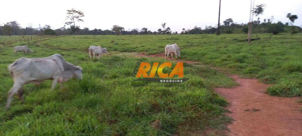 Fazenda à venda com 2 quartos, 2900000M2 - Foto 2