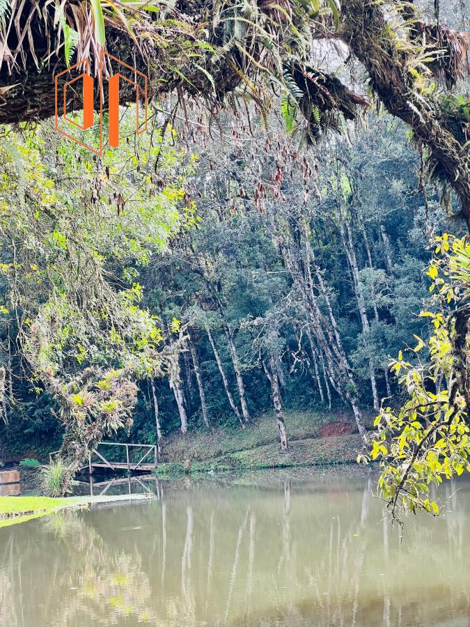 Fazenda à venda, 10000m² - Foto 10