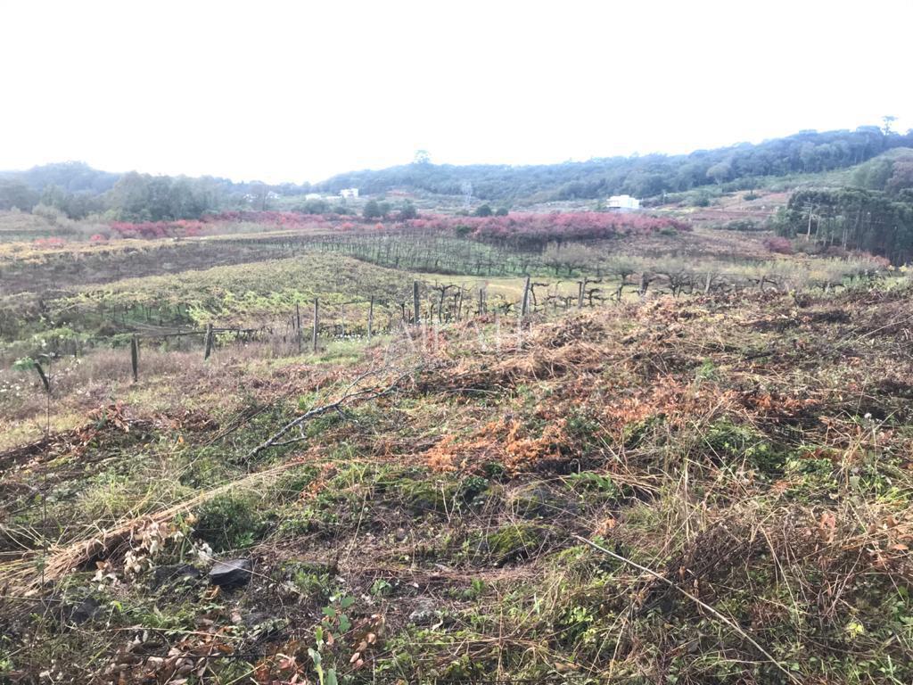 Terreno à venda, 527m² - Foto 35