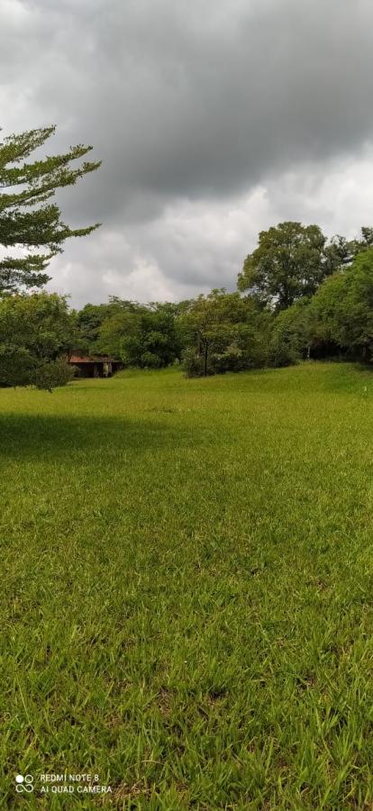 Fazenda à venda com 4 quartos, 1250m² - Foto 16