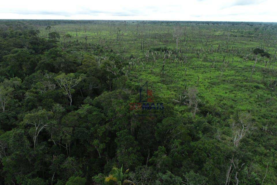 Fazenda à venda com 2 quartos, 7018000M2 - Foto 7