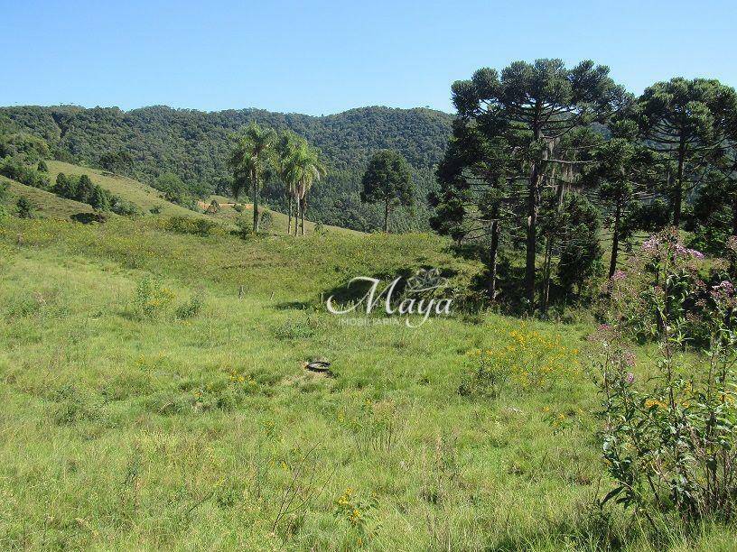 Terreno à venda, 120000M2 - Foto 2