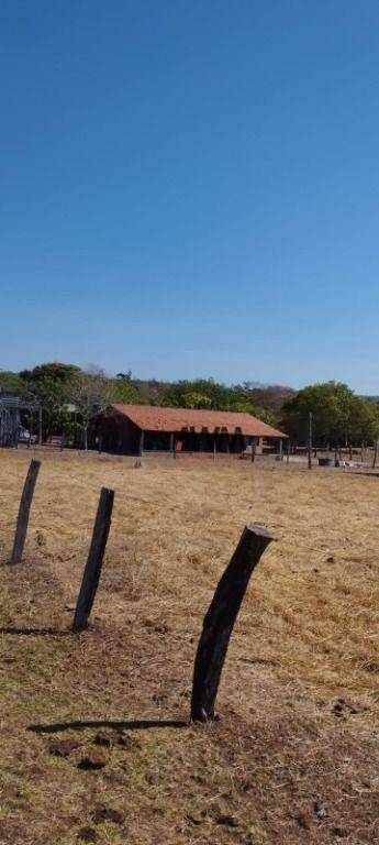 Fazenda à venda, 11567600M2 - Foto 12