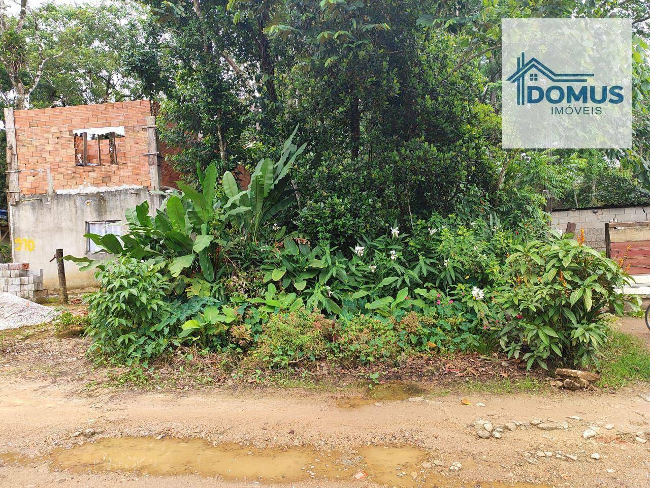 Terreno à venda, 300M2 - Foto 2