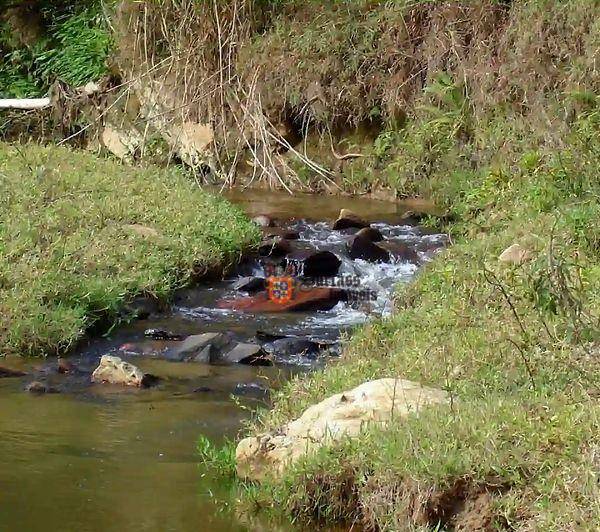 Fazenda à venda com 5 quartos, 1331000M2 - Foto 73