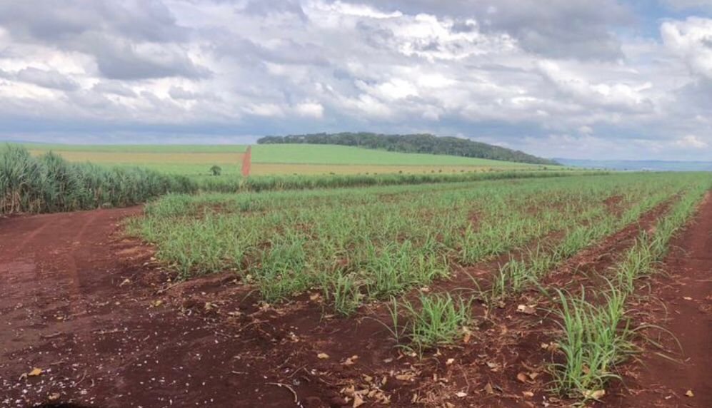 Fazenda-Sítio-Chácara, 1872 hectares - Foto 3