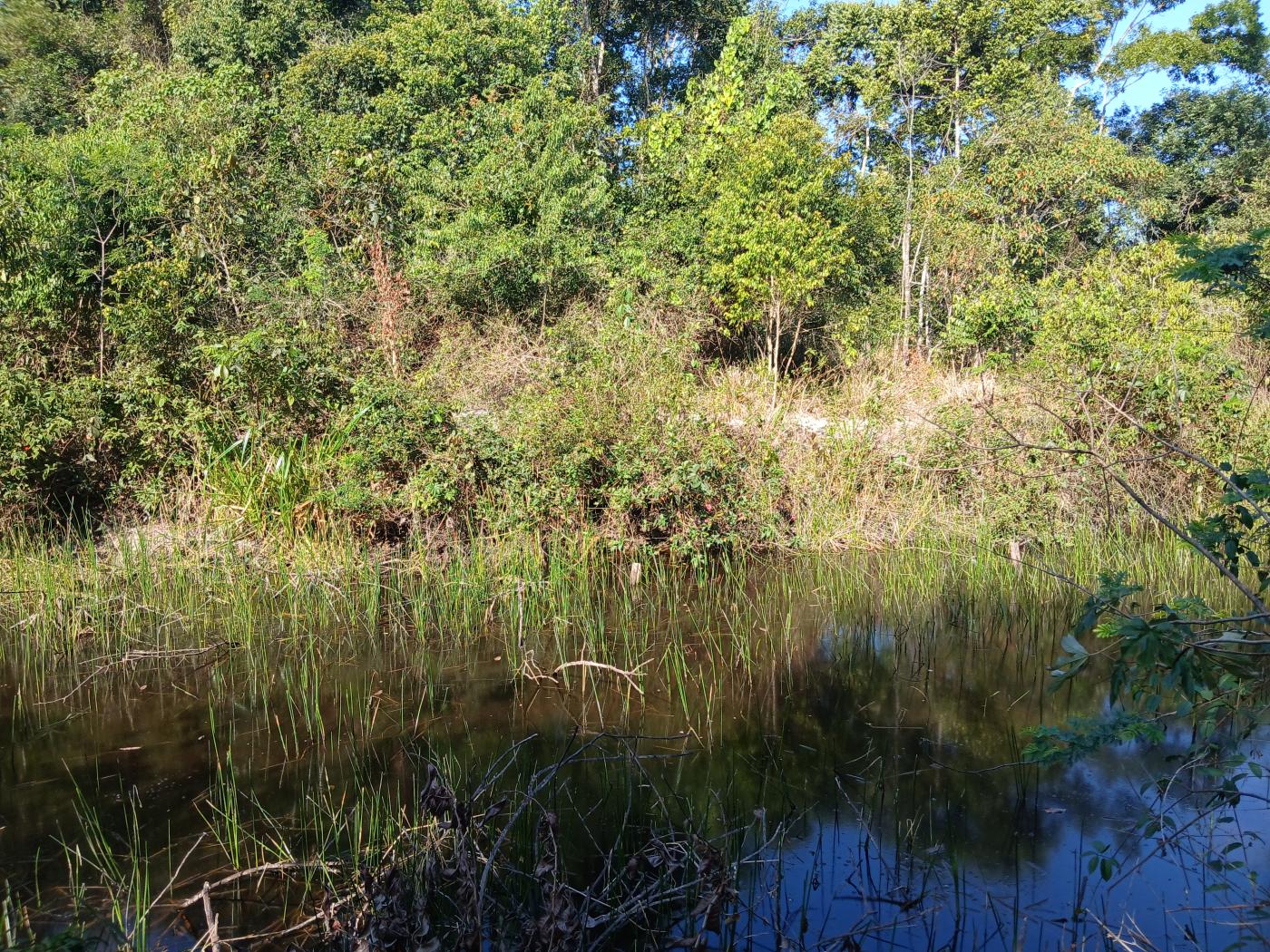 Fazenda à venda com 1 quarto, 96000m² - Foto 20