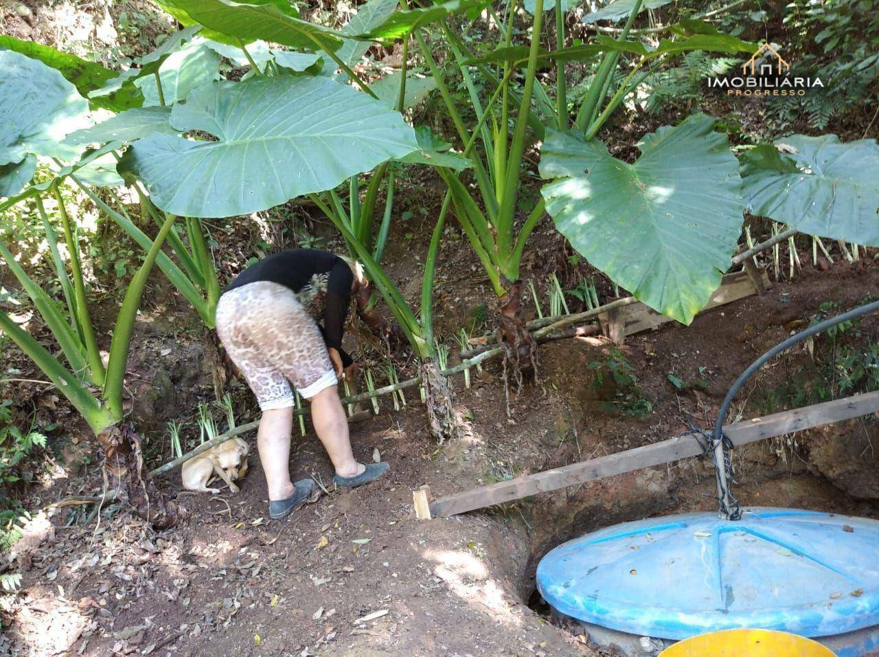 Chácara à venda com 2 quartos, 1m² - Foto 22