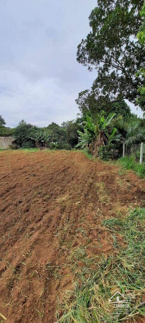 Terreno à venda, 873M2 - Foto 2