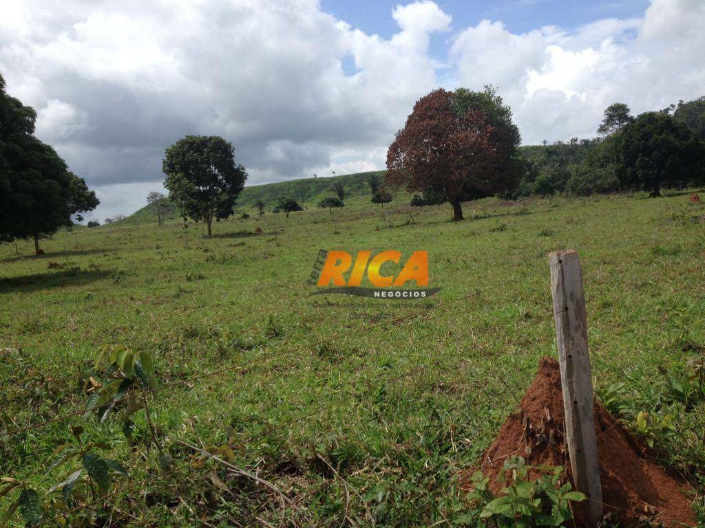 Fazenda à venda com 3 quartos, 1000000M2 - Foto 9