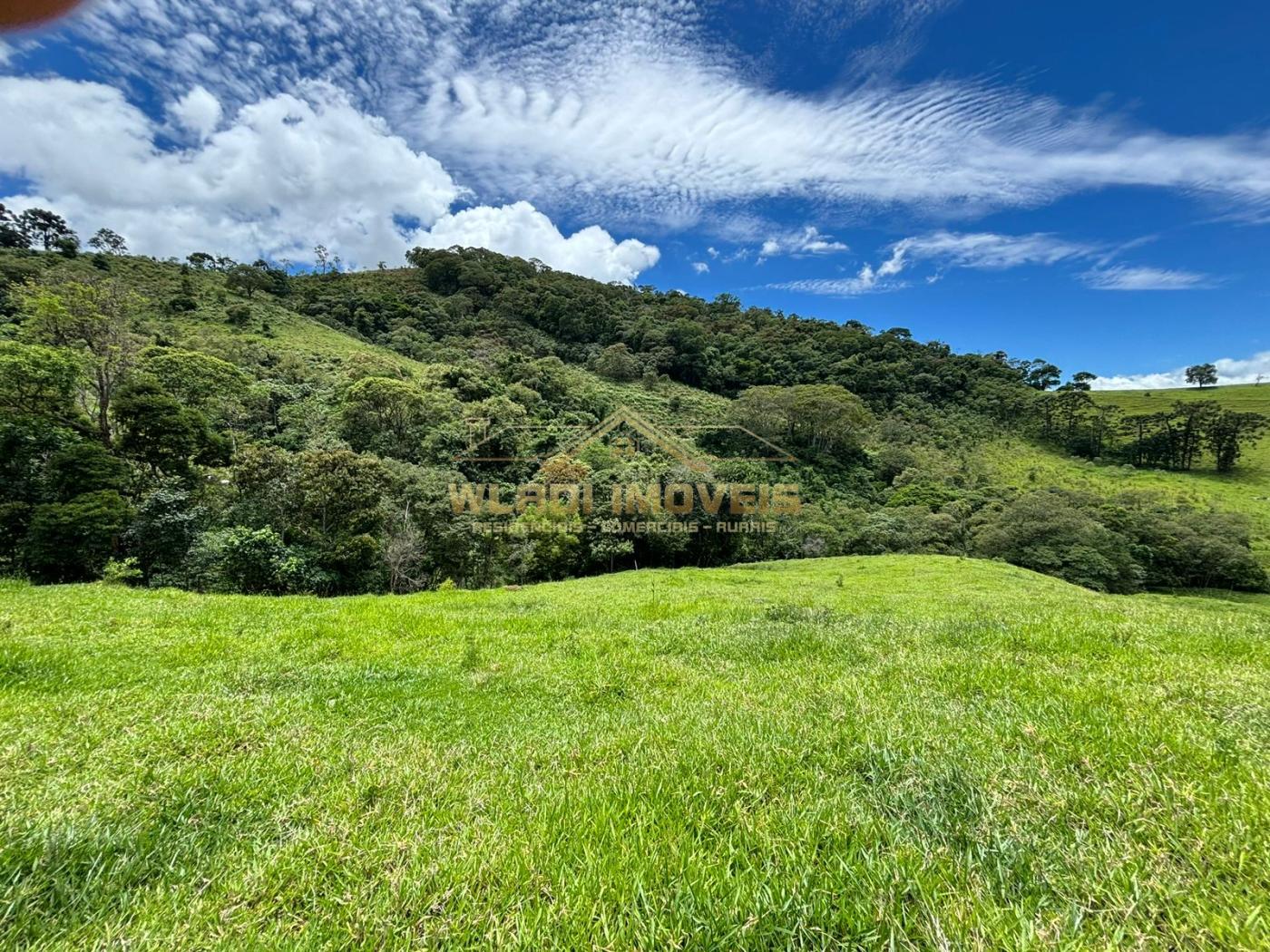 Terreno à venda - Foto 3