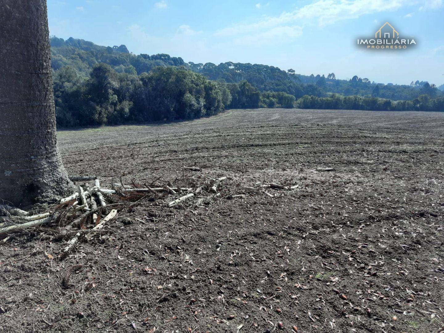 Terreno à venda, 67760M2 - Foto 14