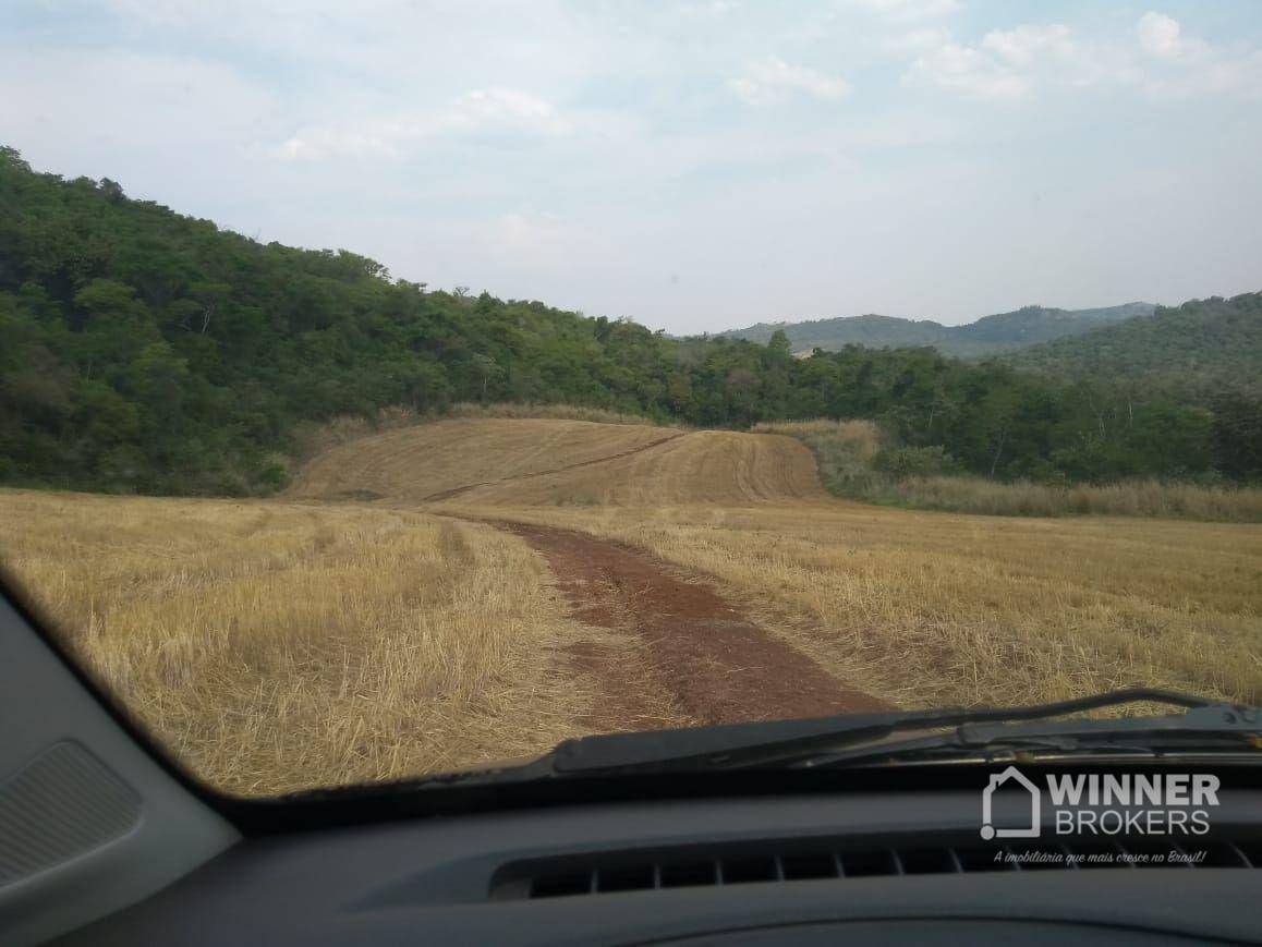 Fazenda à venda, 1379400M2 - Foto 12