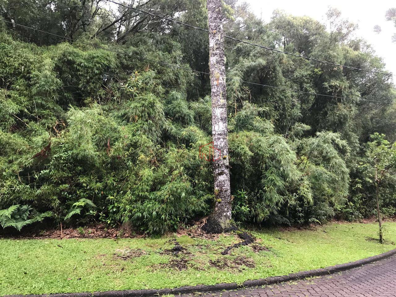 Loteamento e Condomínio à venda, 828M2 - Foto 2