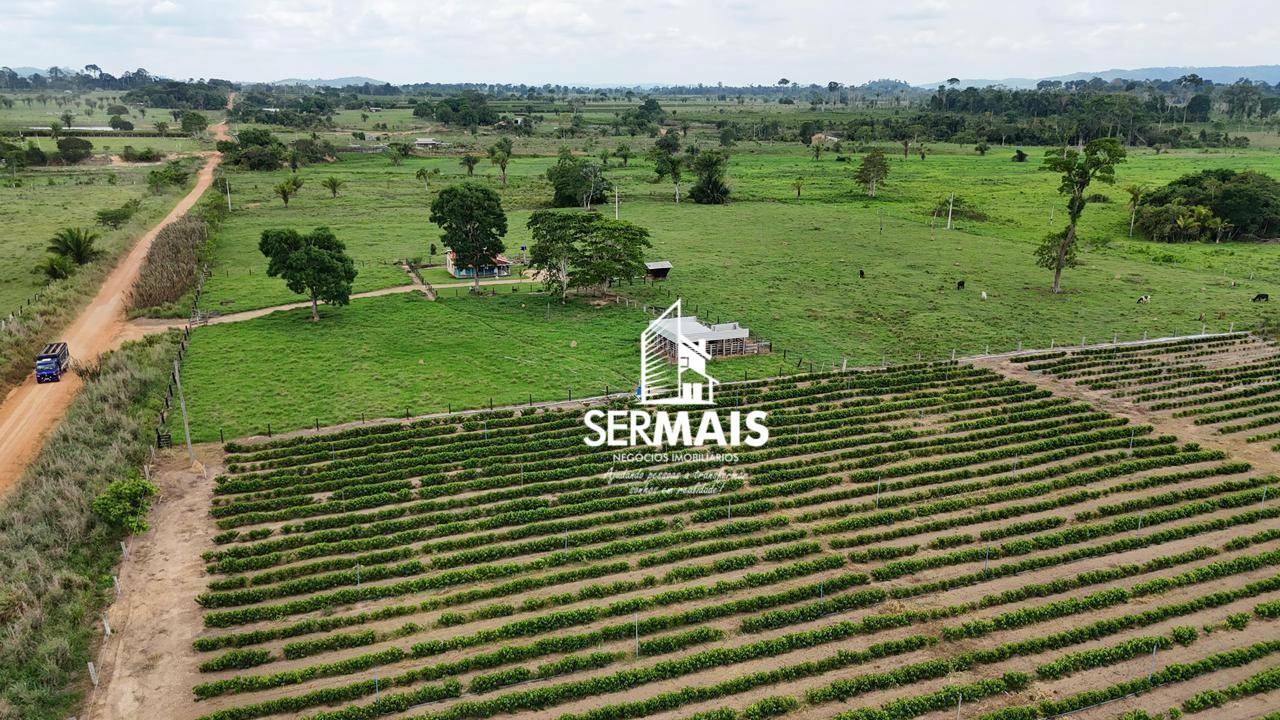 Fazenda-Sítio-Chácara, 220 hectares - Foto 1