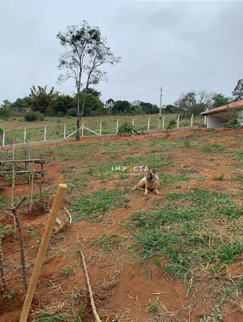 Chácara à venda com 3 quartos, 3000M2 - Foto 10