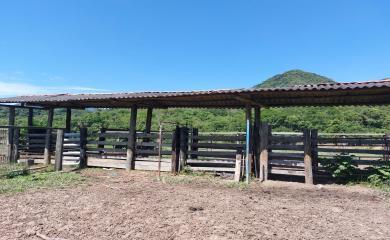 Fazenda à venda com 3 quartos, 232m² - Foto 17