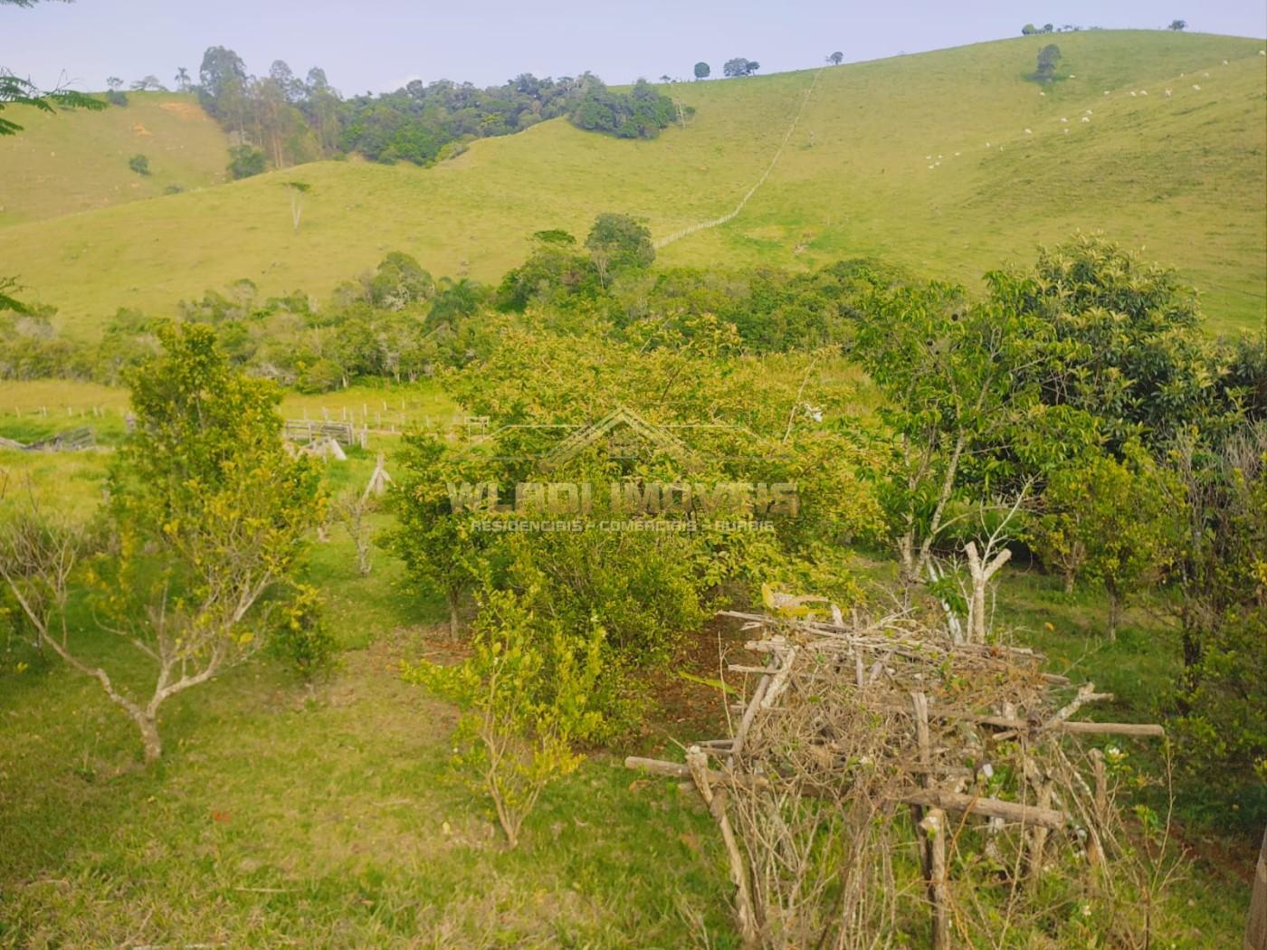 Chácara à venda, 12100m² - Foto 4