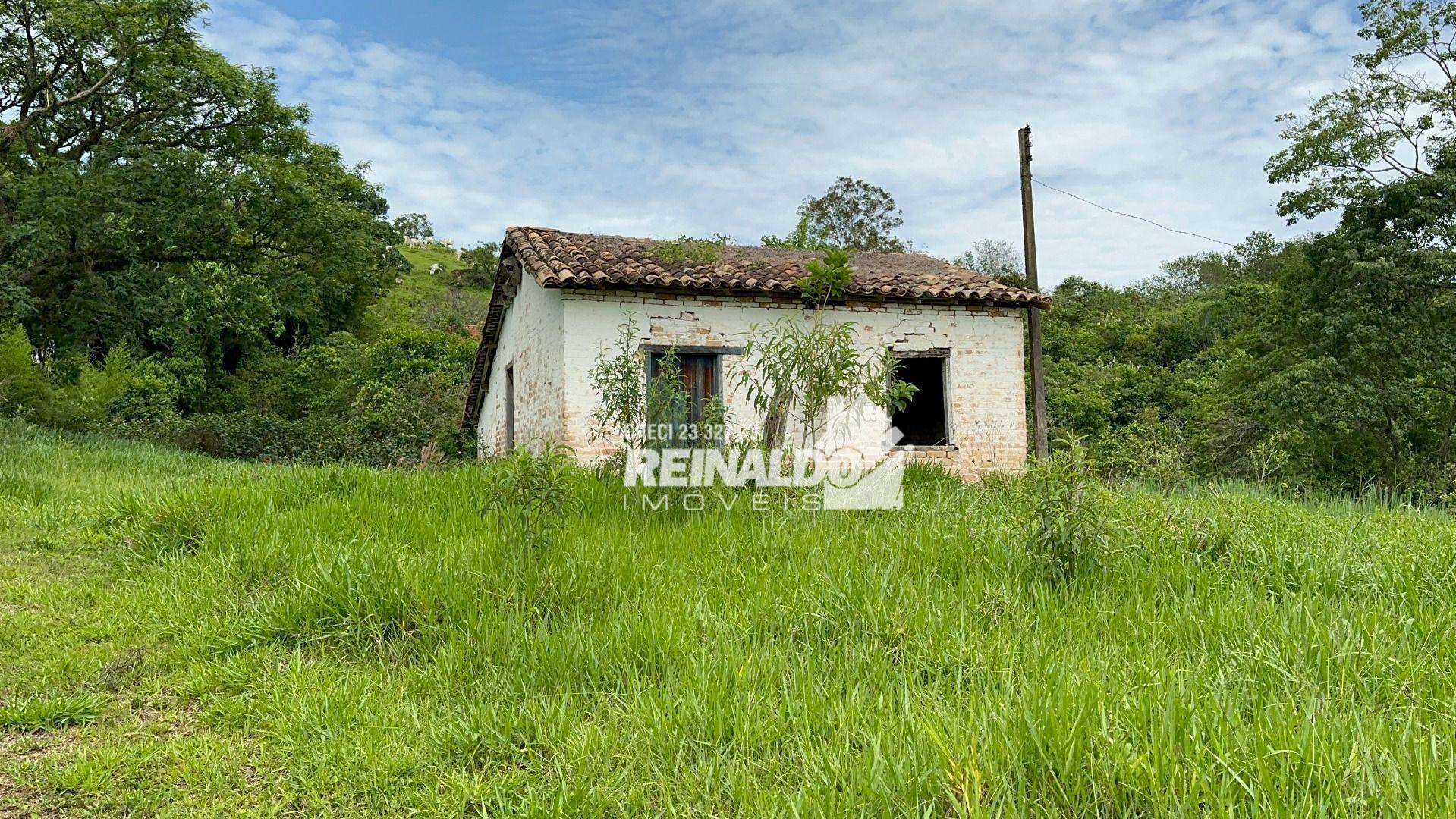 Fazenda à venda com 8 quartos, 950m² - Foto 3