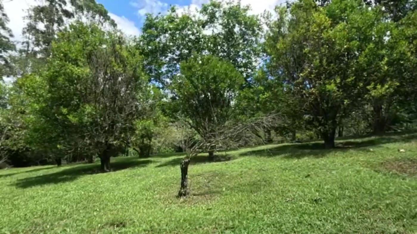 Sítio à venda com 8 quartos, 20000m² - Foto 46