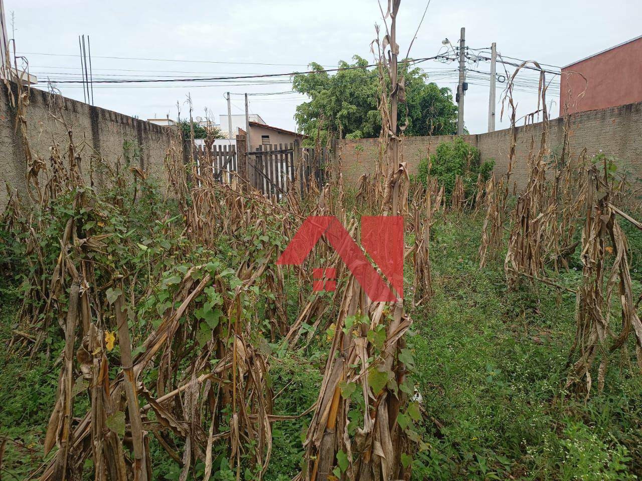 Terreno à venda, 200M2 - Foto 5