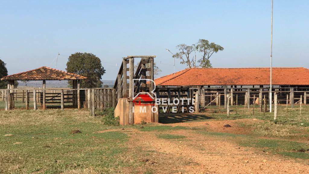 Fazenda-Sítio-Chácara, 2199 hectares - Foto 3