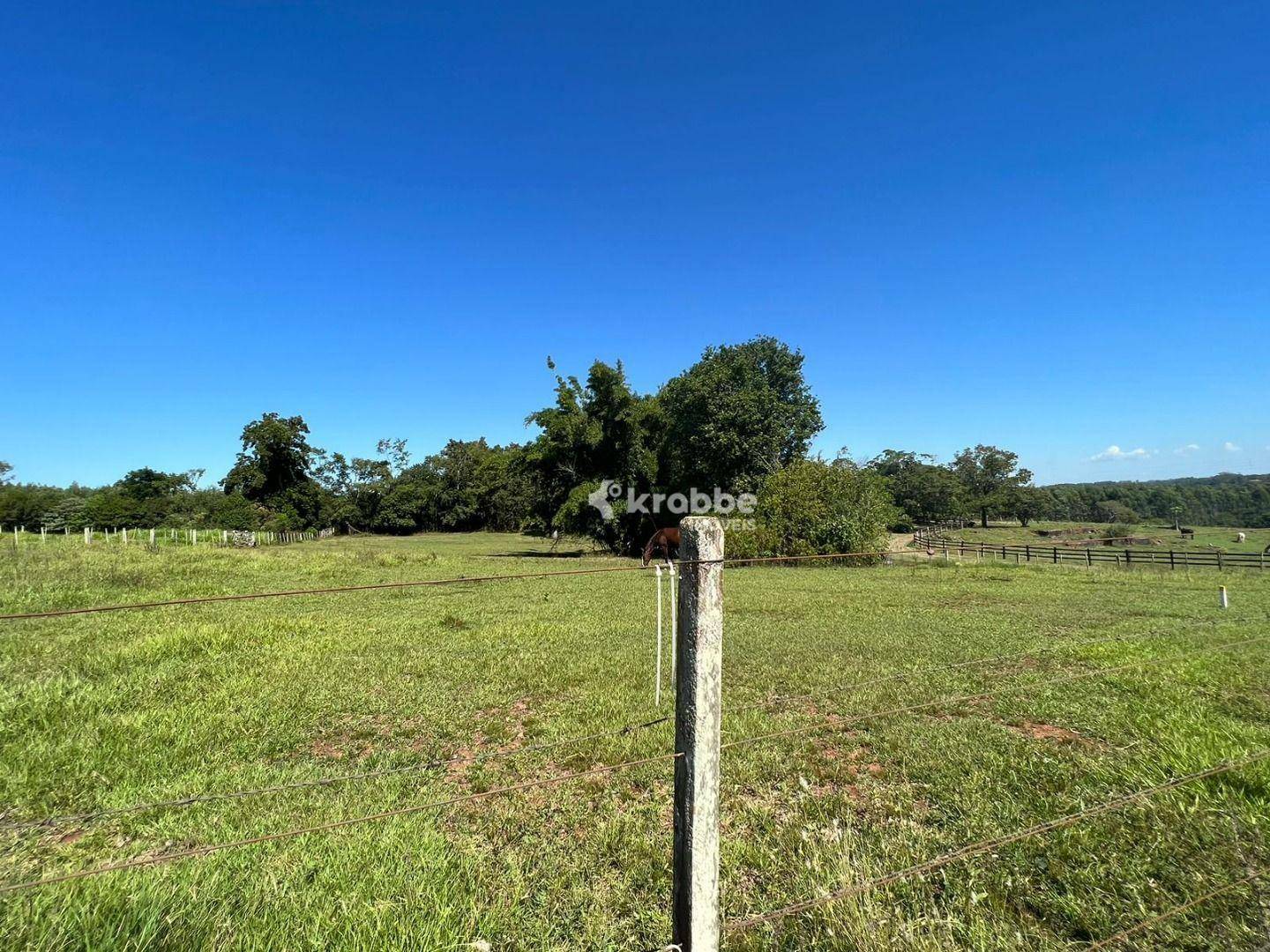 Chácara à venda com 1 quarto, 1633M2 - Foto 1