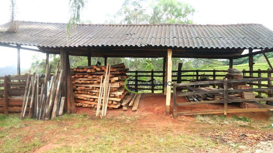 Fazenda à venda com 3 quartos, 2970000M2 - Foto 9