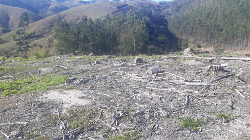 Terreno à venda, 144000M2 - Foto 5