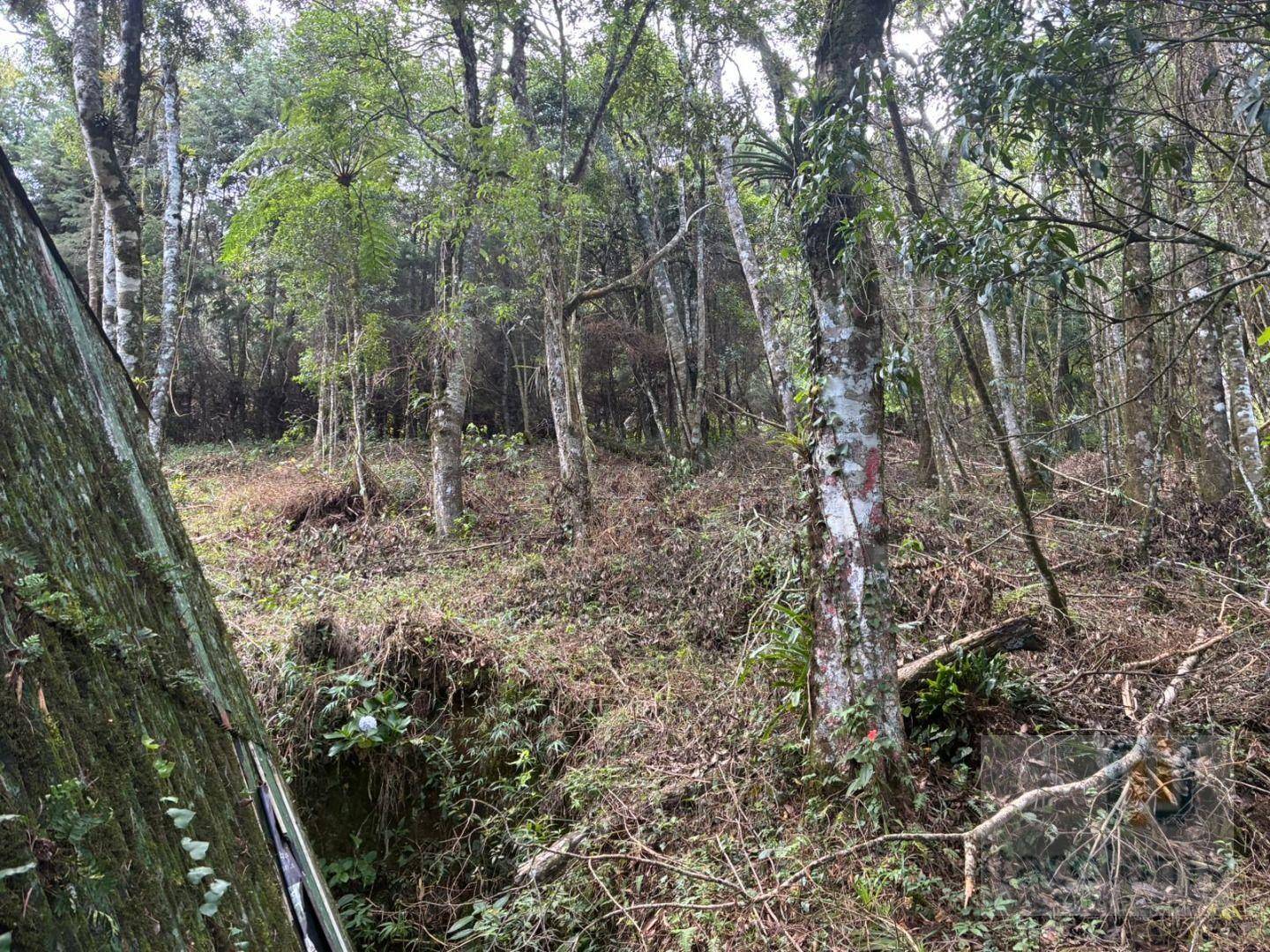 Terreno, 1046 m² - Foto 18