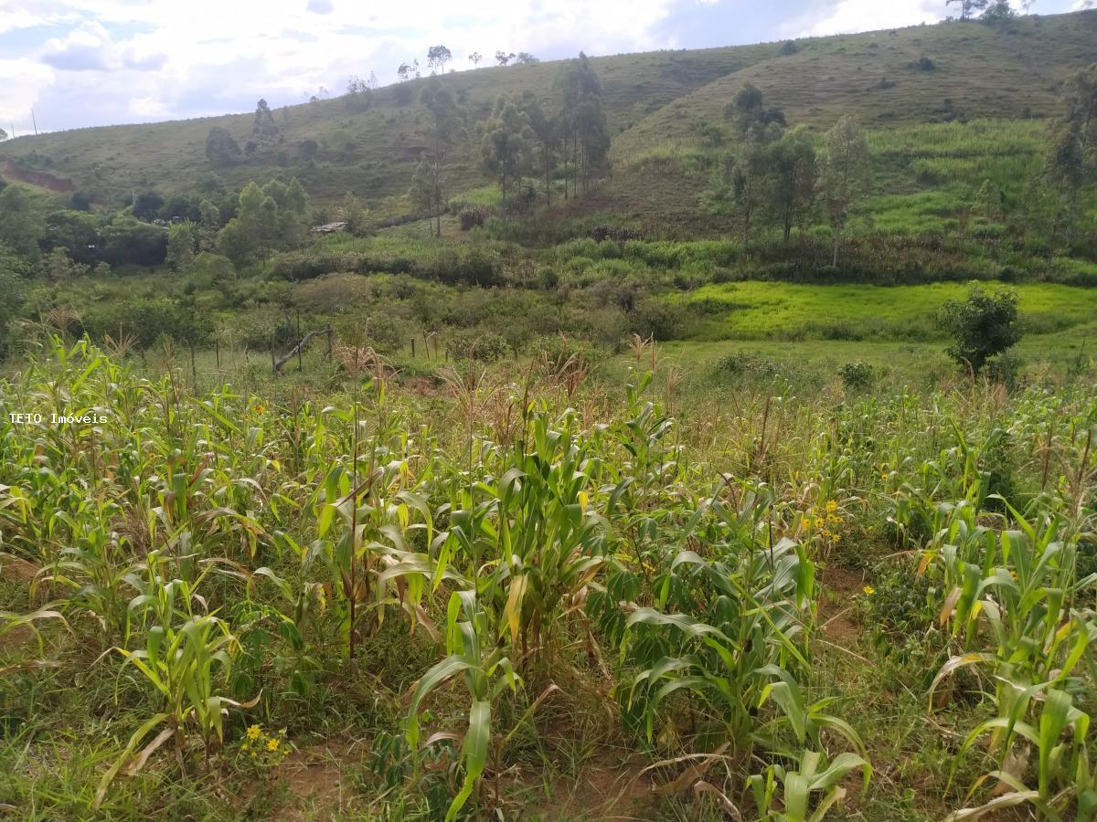 Terreno à venda, 2000m² - Foto 3