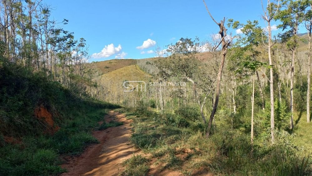 Fazenda à venda, 150m² - Foto 4