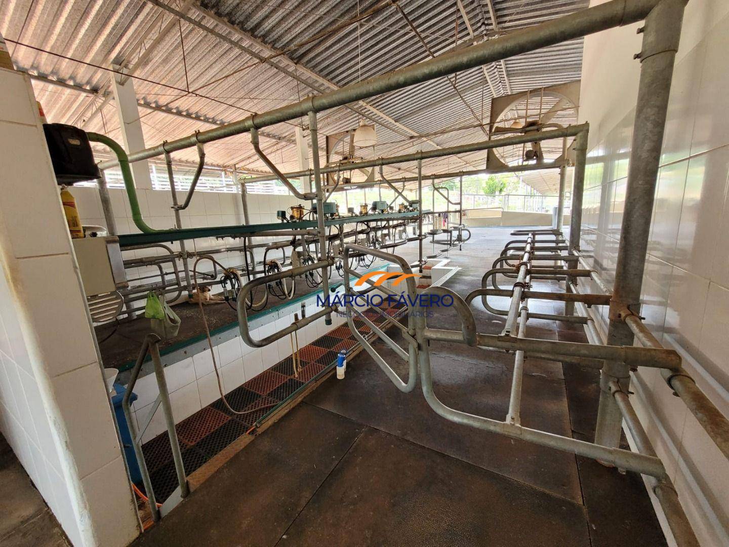 Fazenda, 155 hectares - Foto 3